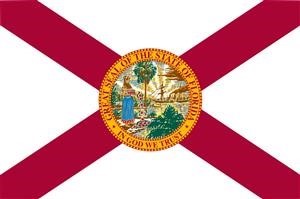 How to Spy on Text Android