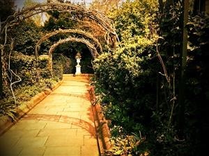 Spy Call App for Android