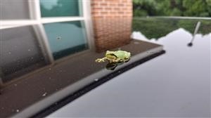 How Can I Tell if Someone Is Spying on My Android Phone