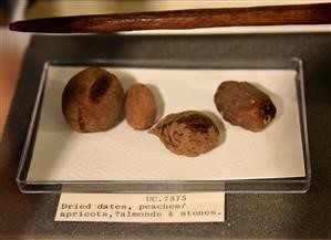 The Truth Spy Android Install