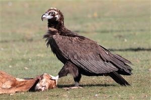 Superantispyware Für Android