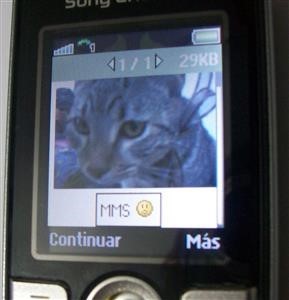 Best Phone Spy for Android