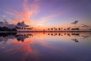 Android Kotlin Mockito Cannot Mock/spy Because - Final Class