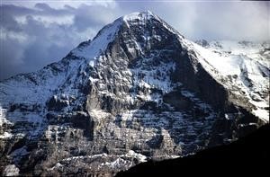 Mr Spy Mod Apk Android 1