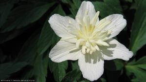 How to Find Hidden Spy Apps for Android