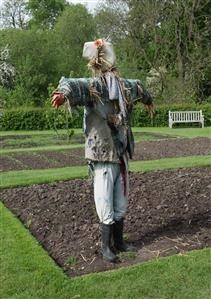 Free Spy Software for Android Phones