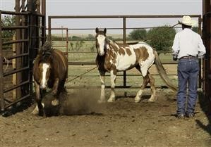 Best Android Spy App Without Rooting 2020