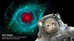 Flexispy Free Download Full Version for Android