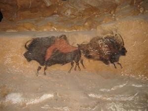 Android Spyware Reviews